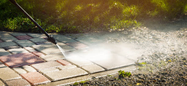 Best Pre-Holiday Cleaning  in Muenster, TX